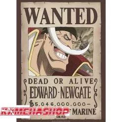 One Piece - Affiche Wanted Edward Newgate