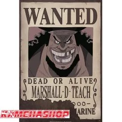 One Piece - Affiche Wanted Marshall D.Teach