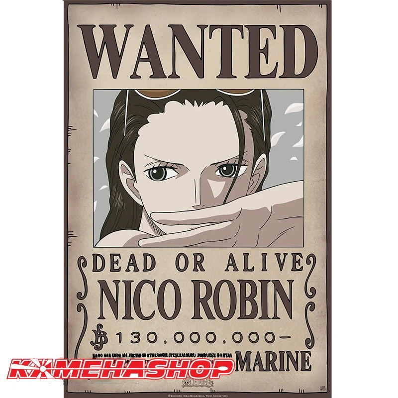 Affiche Wanted Robin - New World Prime