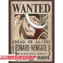 One Piece - Affiche Wanted Edward Newgate